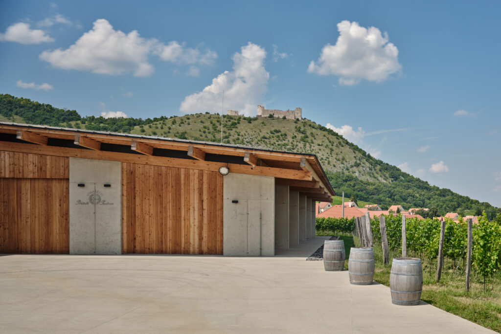 Víno Přátelé Pavlova