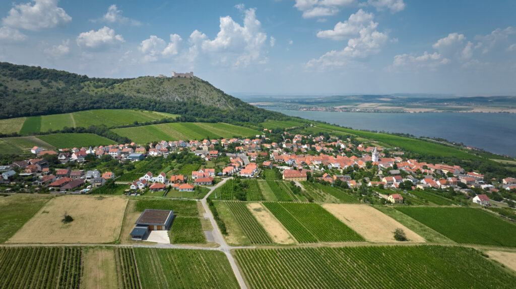 Víno Přátelé Pavlova